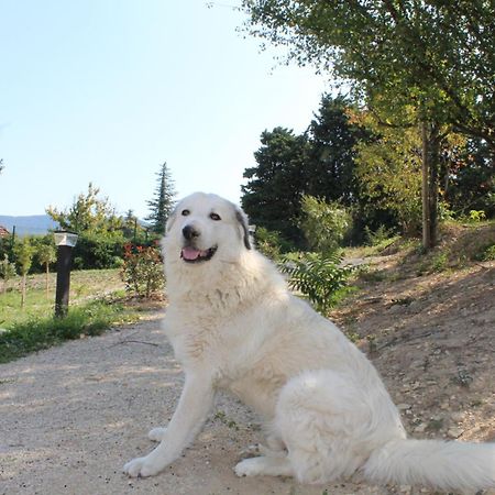 אפרטהוטל Les Tourrettes Le Logis De Berianne מראה חיצוני תמונה